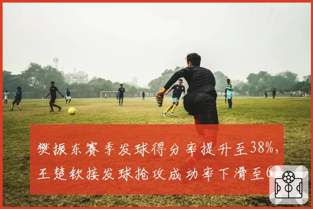 樊振东赛季发球得分率提升至38%,王楚钦接发球抢攻成功率下滑至62%形成反差