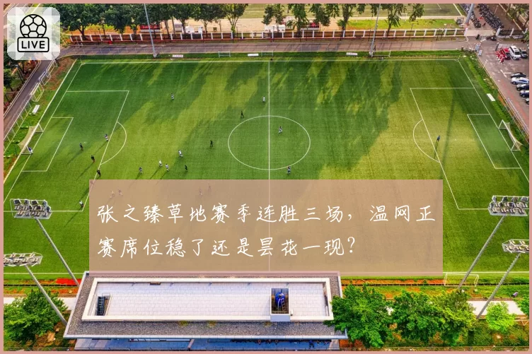 张之臻草地赛季连胜三场,温网正赛席位稳了还是昙花一现?