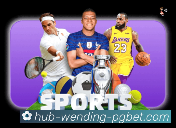 体育平台欢迎图